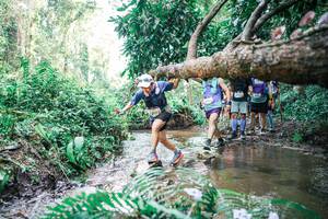 BIB: 
                            <button type="button" onclick="openModal(25476863)" class="btn btn-primary btn-sm float-right btn-popup" data-toggle="modal" data-target=".modal-high-quality">
                        <i class="fas fa-shopping-cart"></i> Add to Cart
                    </button>
                                            <button type="button" onclick="isThisMe(25476863, true)" class="btn btn-success btn-sm float-right btn-popup btn-isme hidden" data-toggle="tooltip" data-placement="bottom" title="นี่คือรูปของคุณใช่ไหม คลิกที่นี่เพื่อเอาเข้าอัลบั้ม">
                        <i class="fas fa-plus"></i> Add to album
                    </button>
                    <button type="button" onclick="isThisMe(25476863, false)" class="btn btn-warning btn-sm float-right btn-popup btn-isnotme hidden">
                        <i class="fas fa-ban"></i> Remove from album
                    </button>